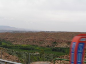 PICT0310