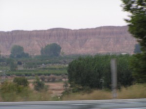 PICT0334