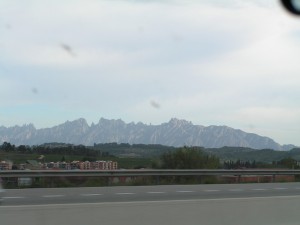 PICT0339