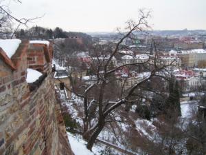 PICT0262