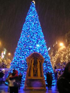 PICT0290