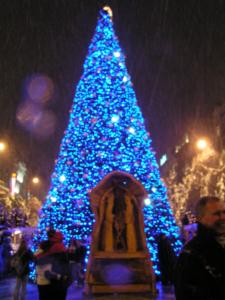 PICT0291