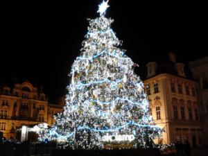 Prague2013-date (149)
