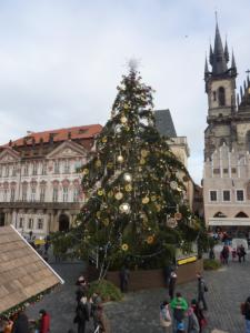 Prague2013-date (170)