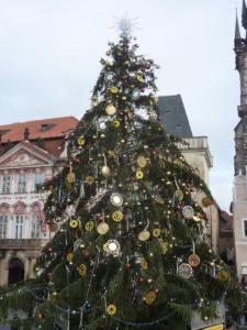 Prague2013-date (171)