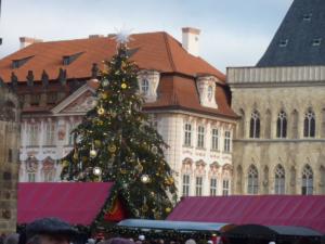 Prague2013-date (195)