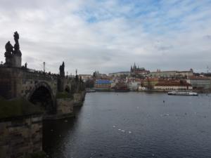 Prague2013-date (28)