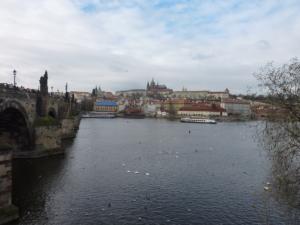Prague2013-date (31)
