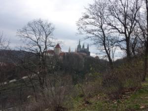 Prague2013-date (71)