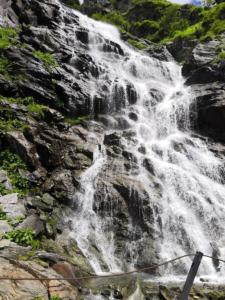 IMG 20190629 123237 1