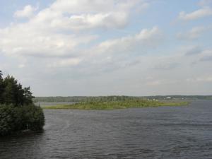 P1010343