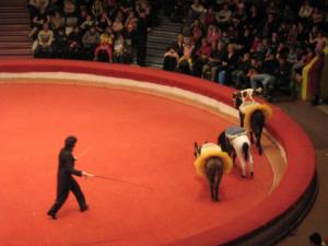 Russie2009-date (236)