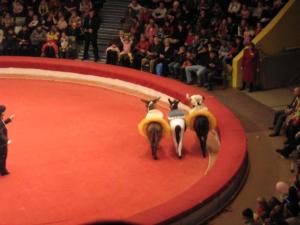 Russie2009-date (238)