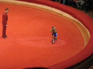 Russie2009-date (254)