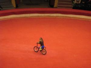 Russie2009-date (258)