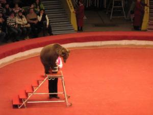 Russie2009-date (260)