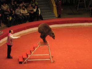 Russie2009-date (261)