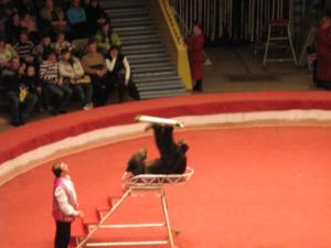 Russie2009-date (262)