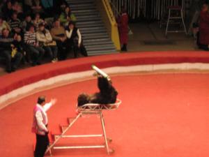 Russie2009-date (263)