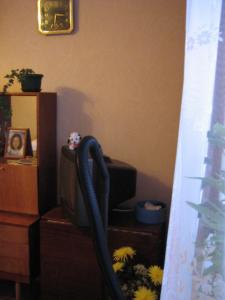 Russie2009-date (287)