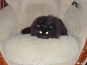 Russie2009-sansdate (41)