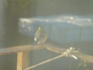 P1550256