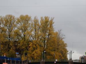 20151024 152656