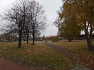 20151026 133847