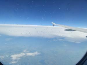 20160528 181054 Richtone(HDR)