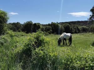 IMG 20200517 121719