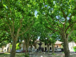 IMG 20200517 131706 1