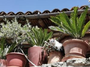 IMG 20200517 132053