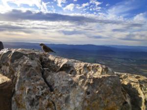 IMG 20200308 171756 1