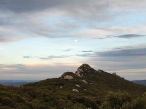 IMG 20200308 181314 1