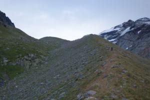 Ruitor-date (127)