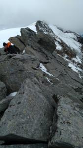 Ruitor-date (280)