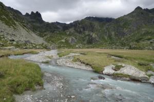Ruitor-date (45)