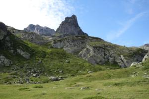 Ruitor-date (498)