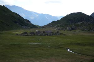 Ruitor-date (68)