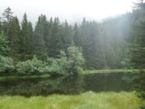 Taillefer-date (13)