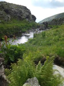 Taillefer-date (133)