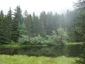 Taillefer-date (14)