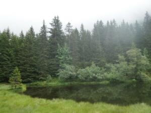 Taillefer-date (15)