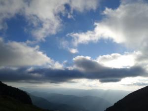 Taillefer-date (164)