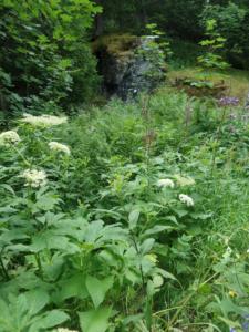 Taillefer-date (20)
