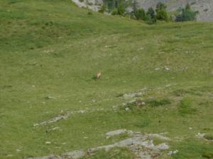 Taillefer-date (211)