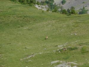 Taillefer-date (212)