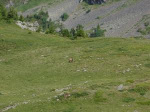 Taillefer-date (213)