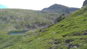 Taillefer-date (214)