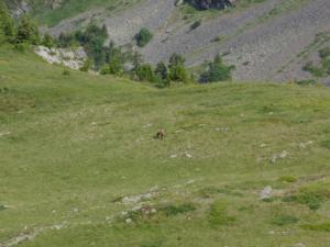 Taillefer-date (215)